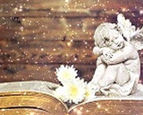 https://amoroso-stella.webnode.fr
