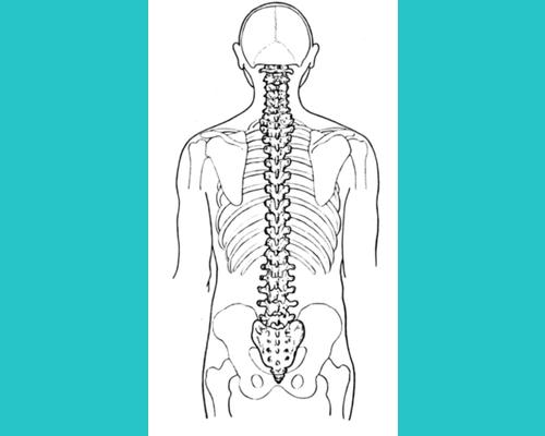 Le sacrum.... Votre centre de gravité !
