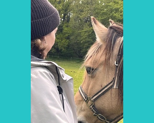 La Trame animale, Chevaux, chiens, Chats...