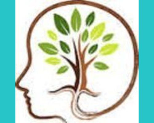 Cohérence Genève
Interventions a domicile
Thérapie Access Bars, réduction du stress et de l'anxiété