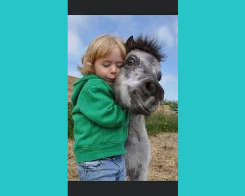 Les enfants peuvent profiter des séances en équi-coaching