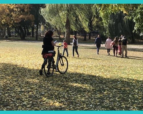 Walk and talk permet de parler en marchant tout en se ressourçant dans la nature