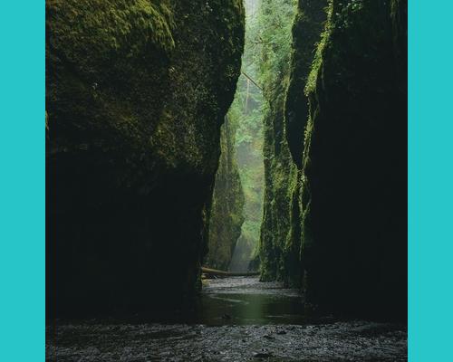 Nos valeurs : Le respect de la nature