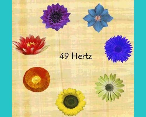 Les 7 énergies qui nous accompagnent tout au long de notre vie