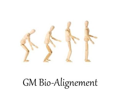 GM BIO ALIGNEMENT