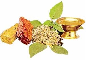 AyurVeda Voie royale pour rester en bonne santé !